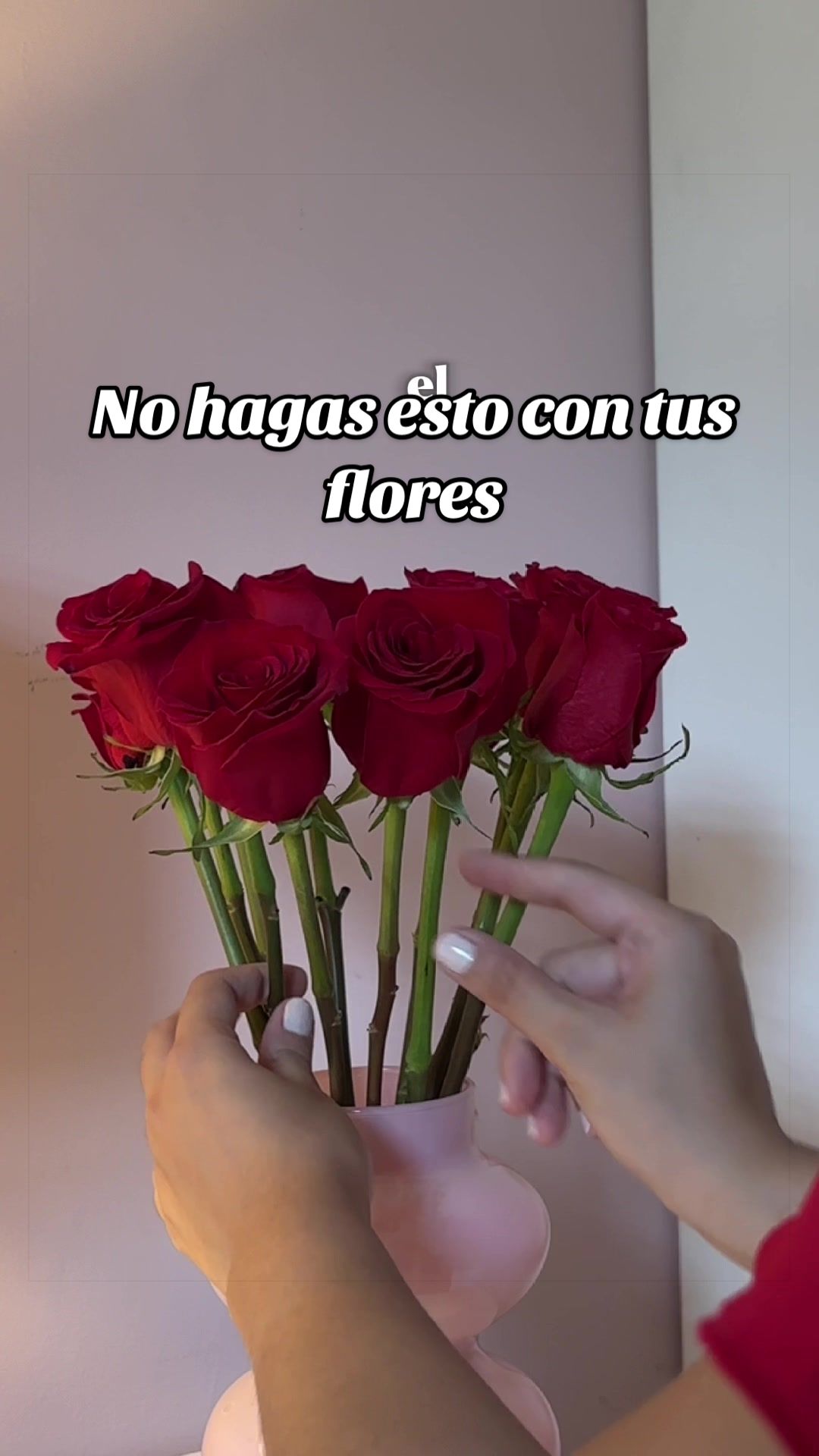 @Aly🐱