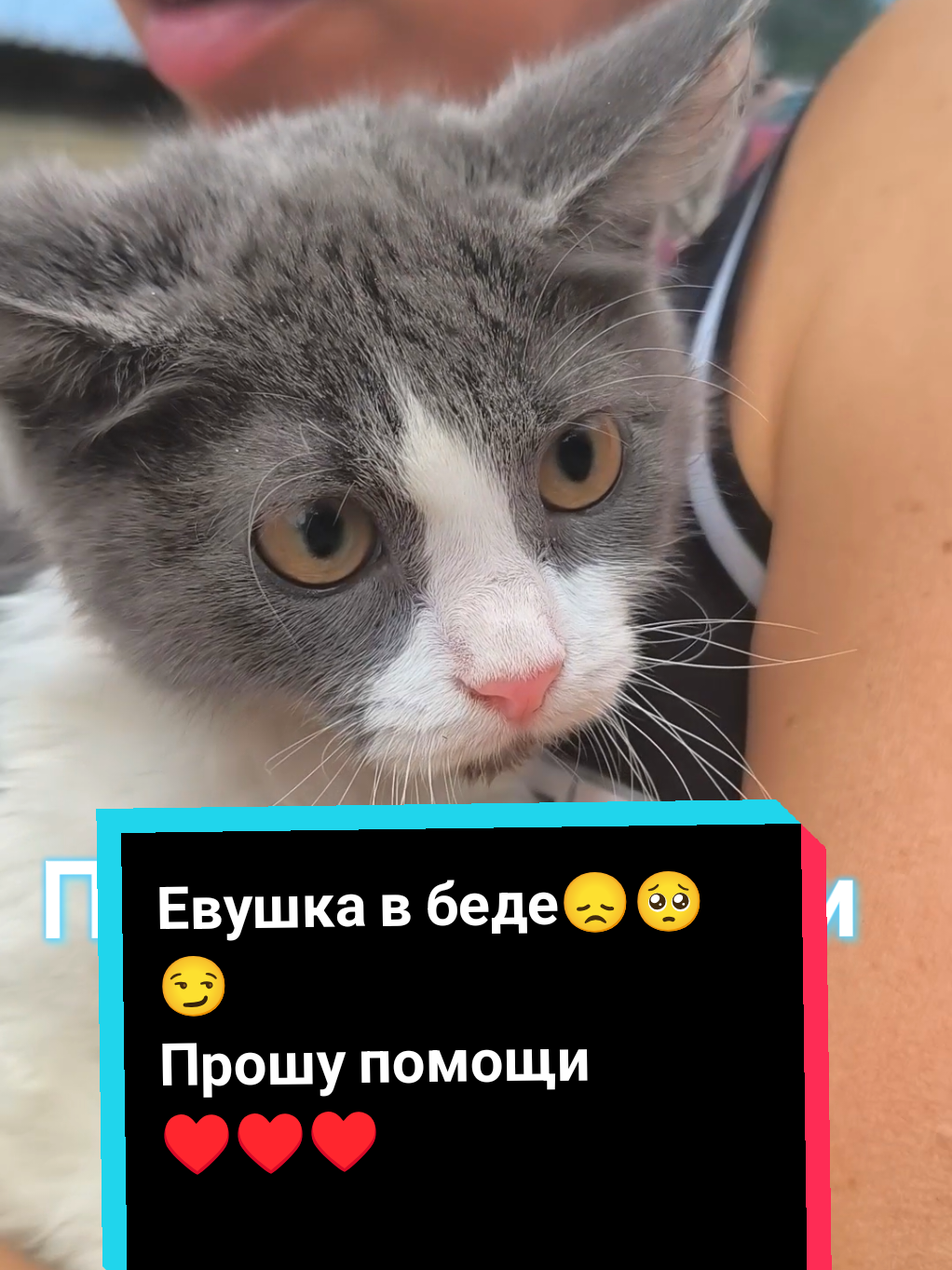 @Elena Barhat