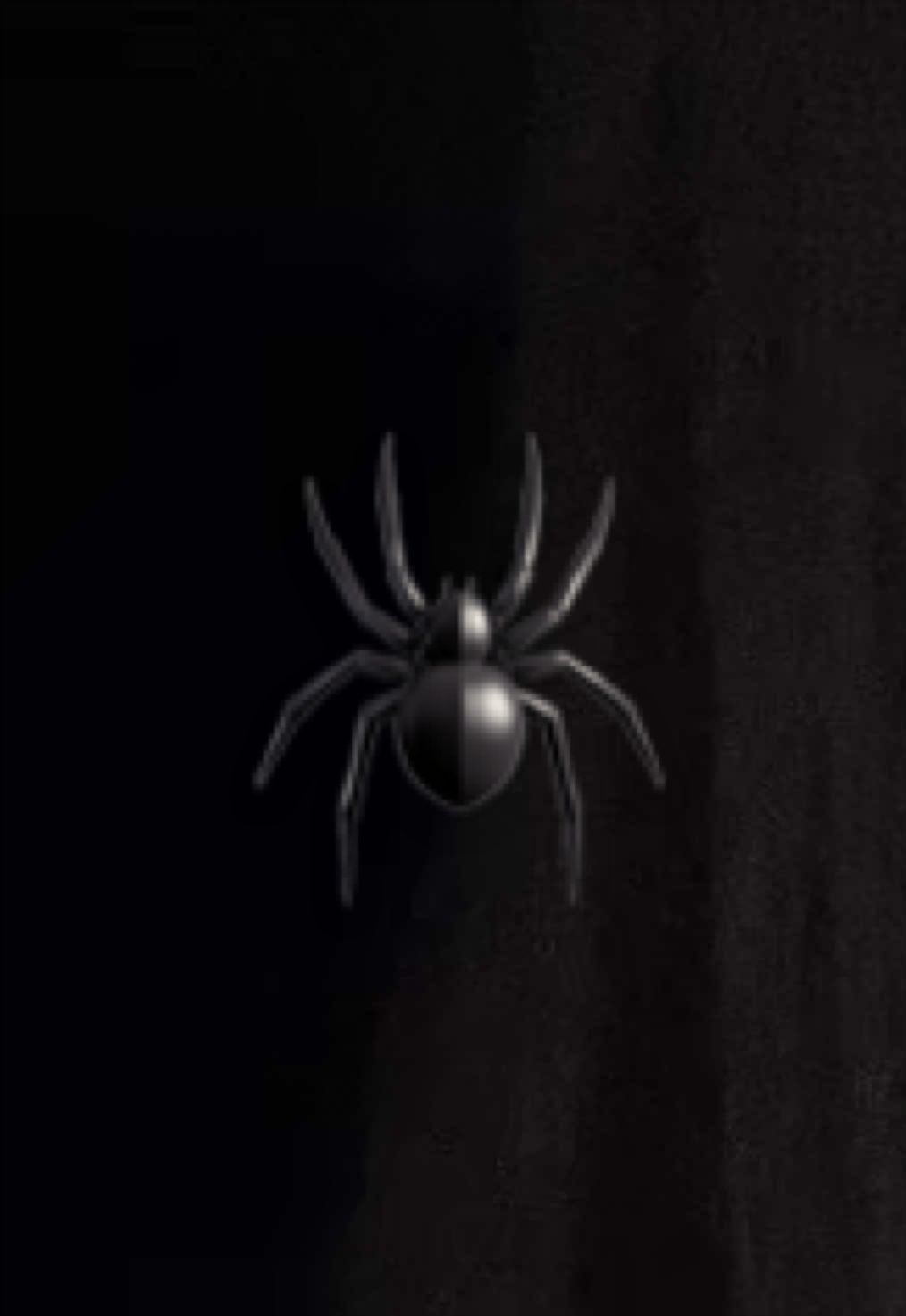 @🕷️ brookie 🕷️
