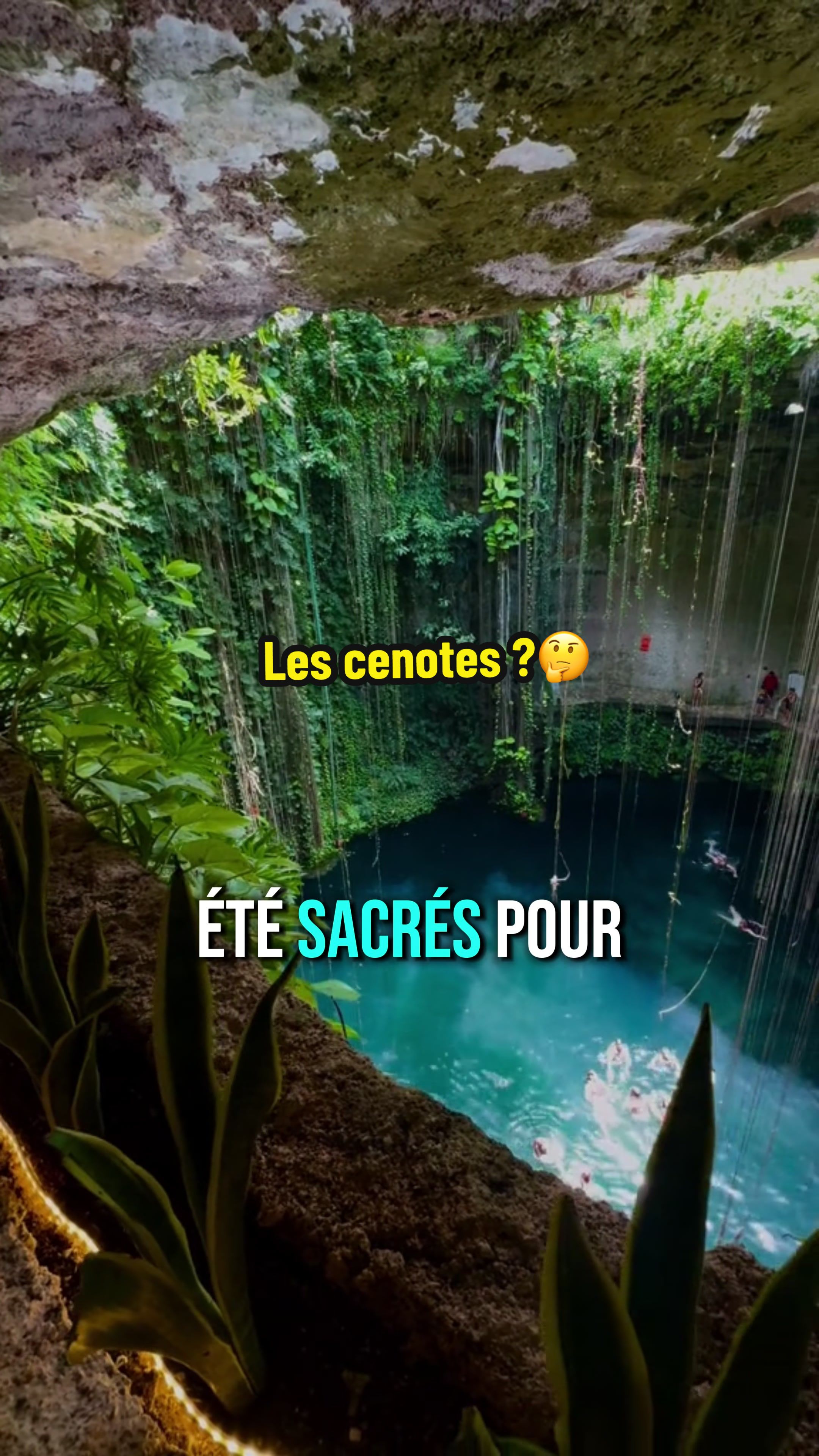 @xamanexperience