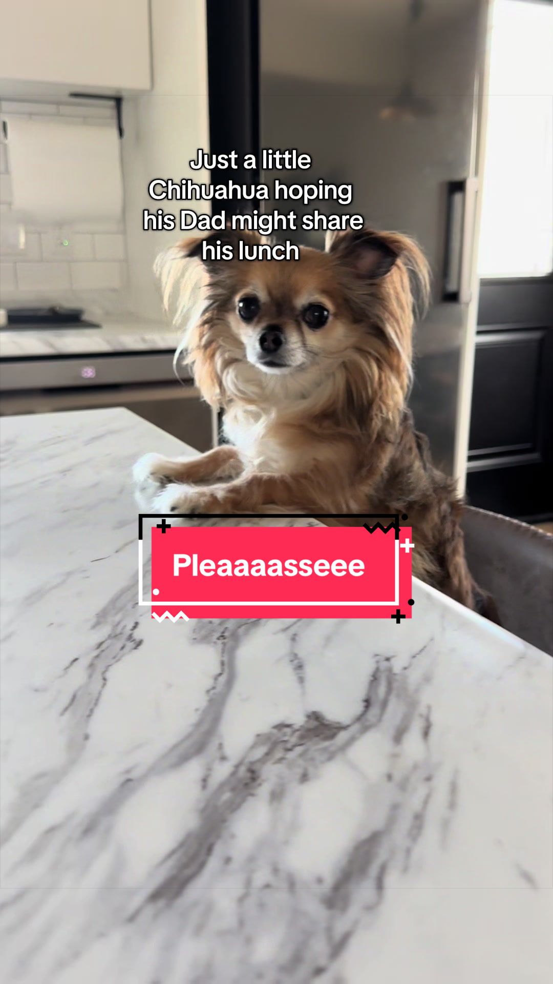 @mochi.and.ali