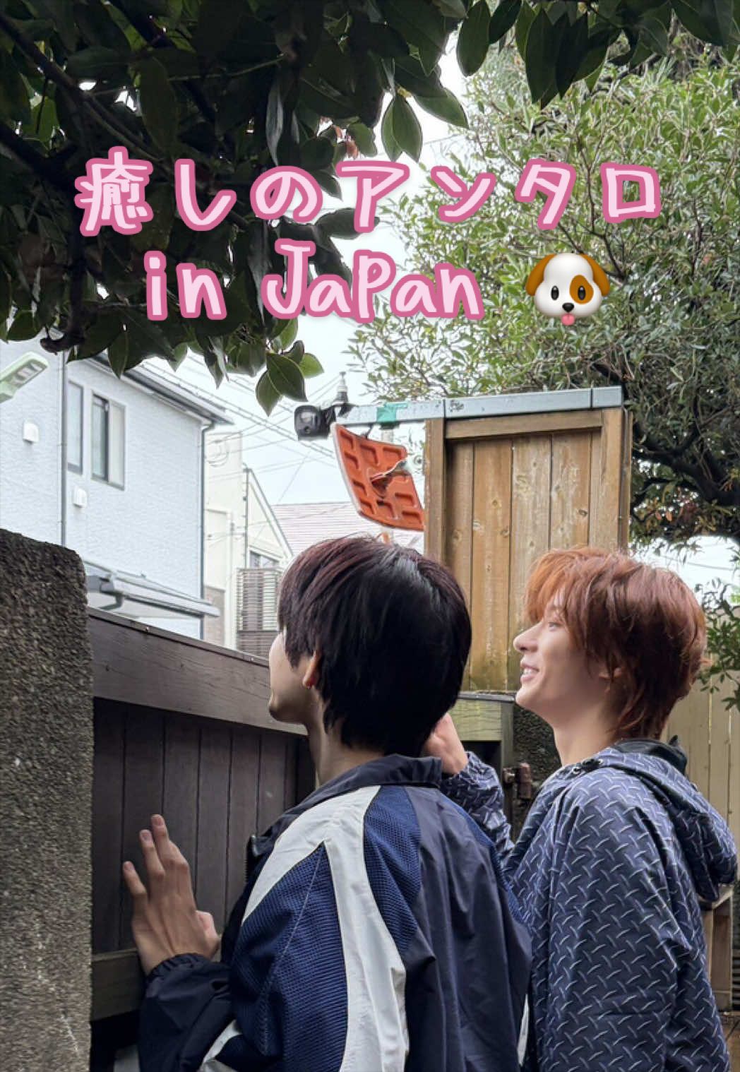 @OhTaro23