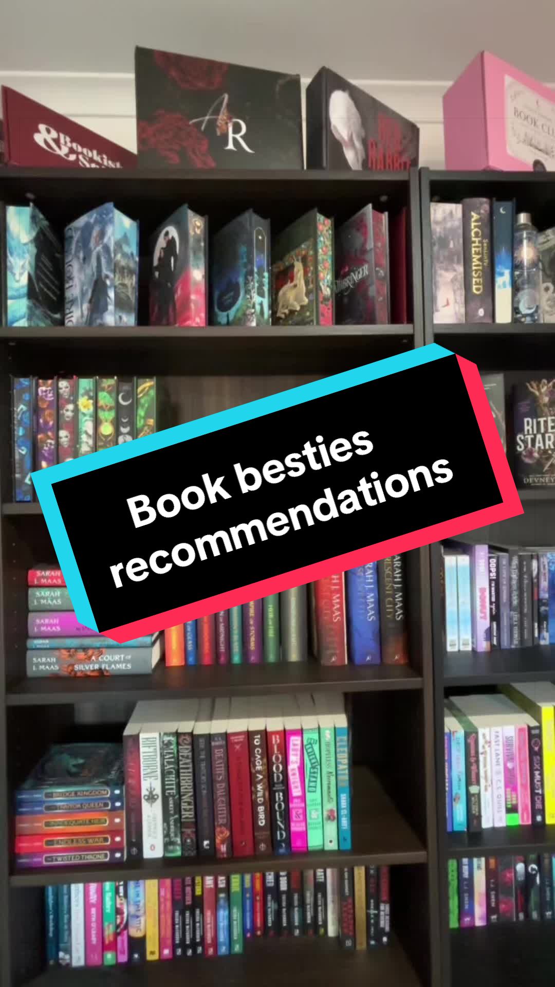 @💐 shay's book corner 💐
