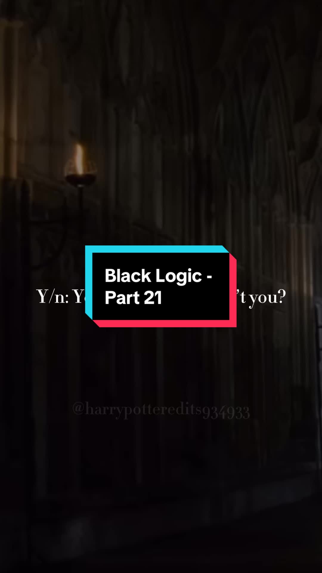 @harrypotteredits934934