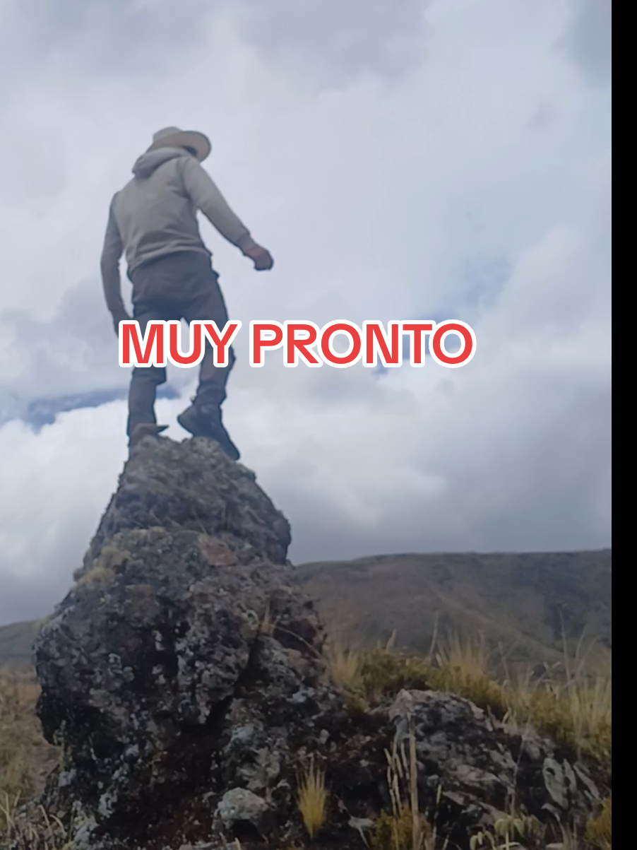 @Luis Escala