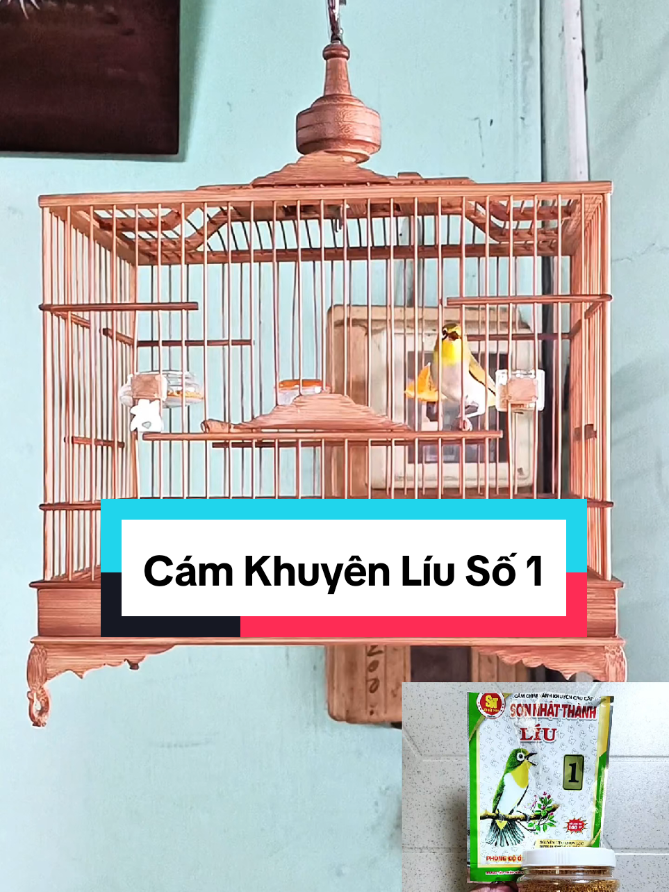 @Ho&agrave;ng Bảo🐷