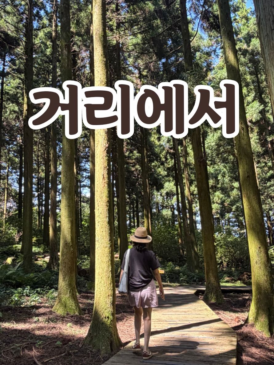 @송화찌