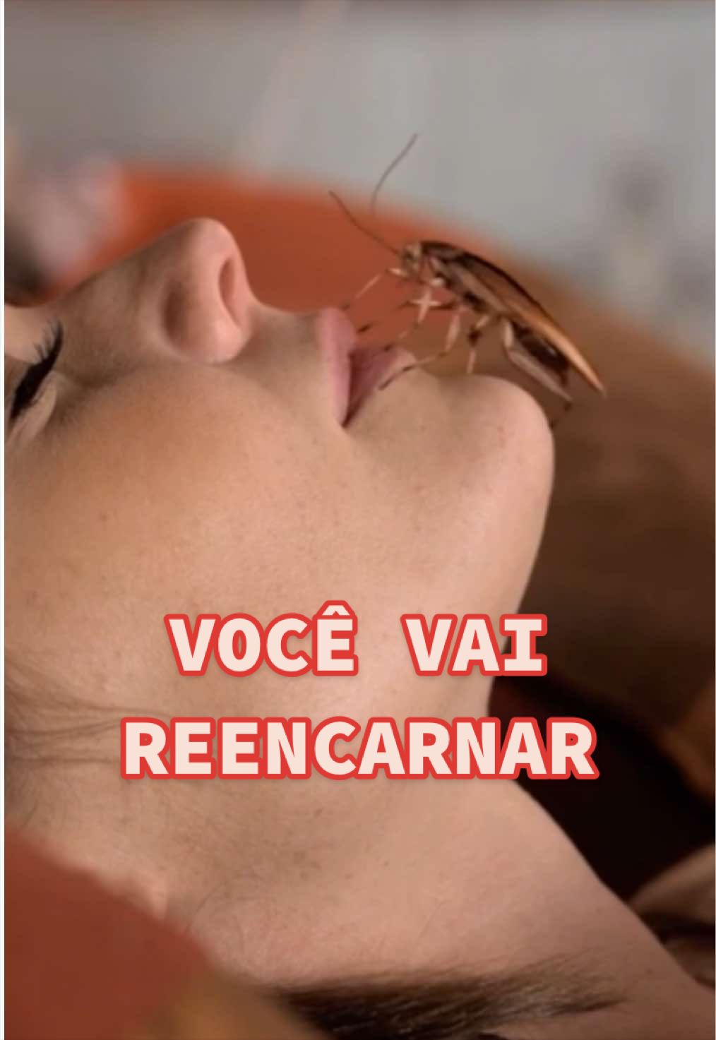@lucas da cripta 👻