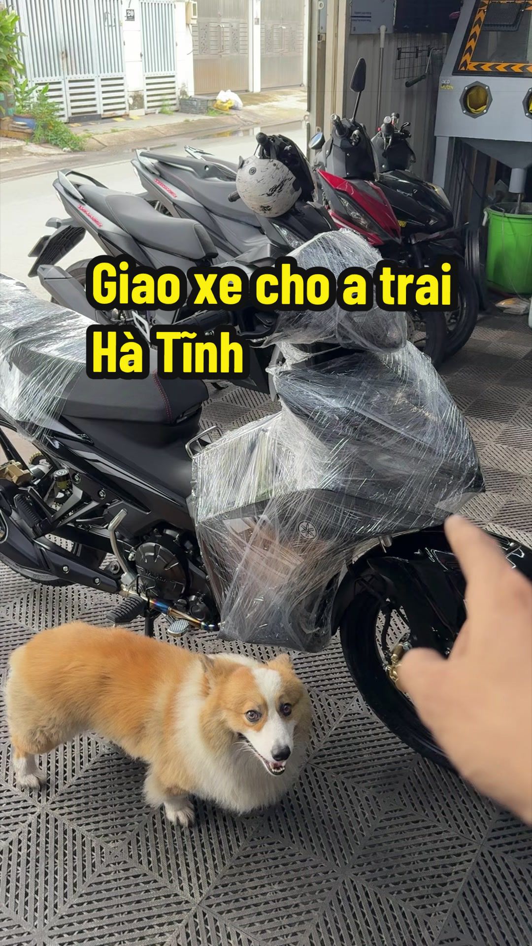 @Đạt Là 🇻🇳