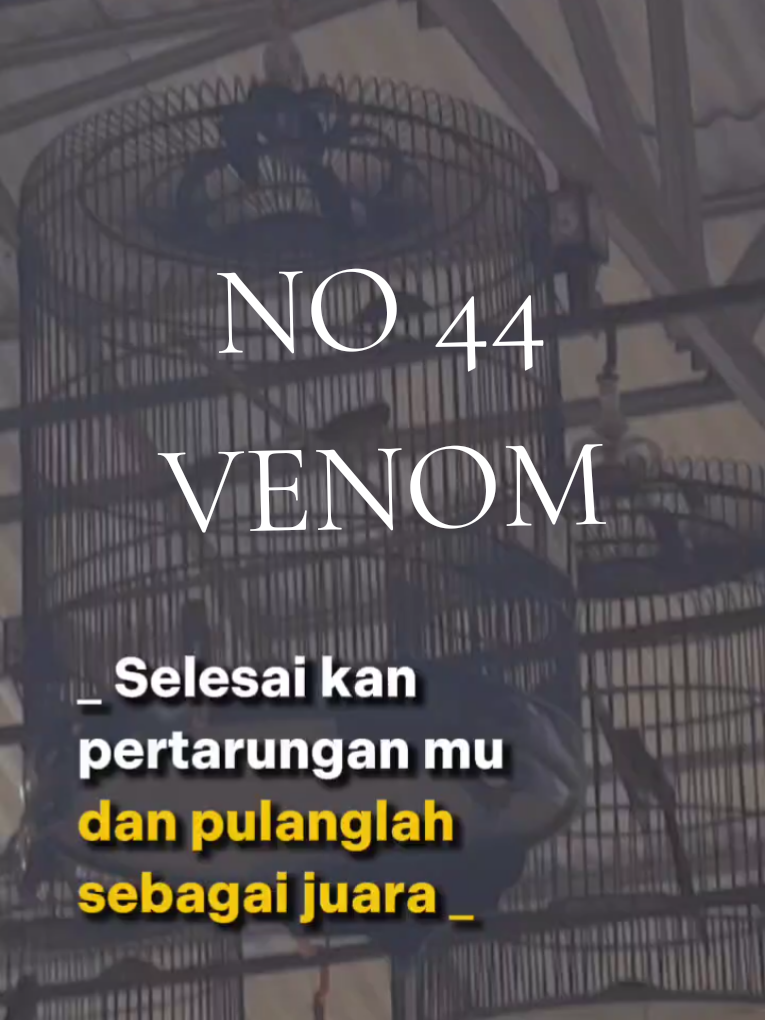 @DEN BAGUS