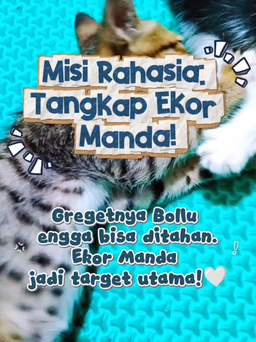 @Bollu