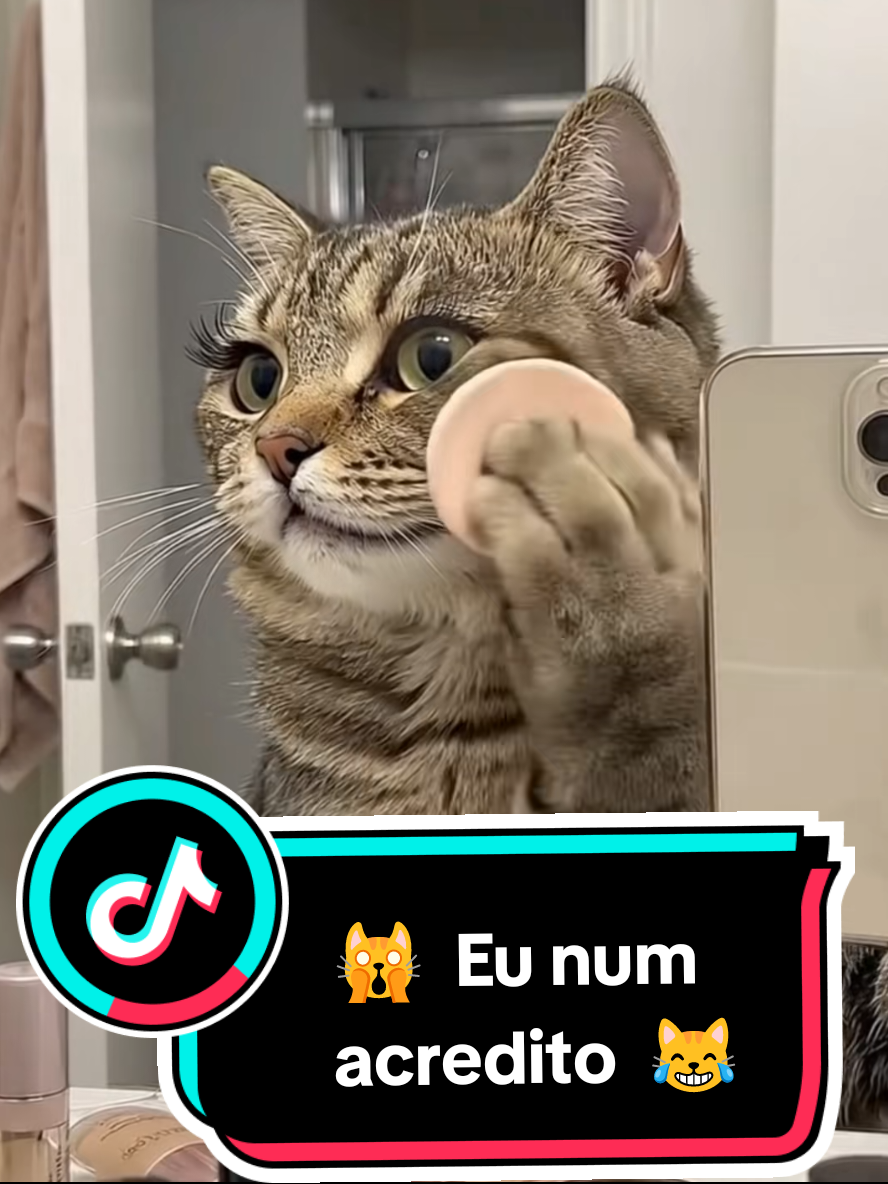 @Gatosetravessuras@10
