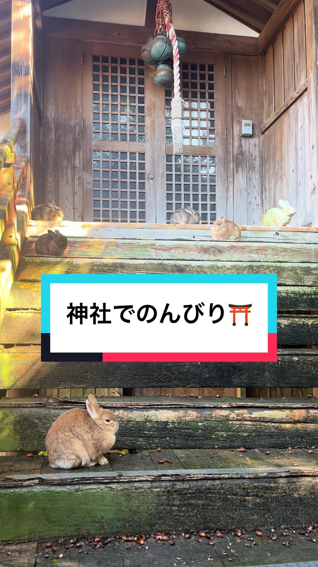 @【公式】月うさぎの里