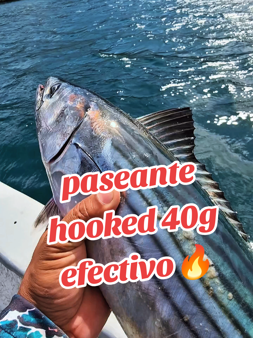@Alex el Pescador🔥