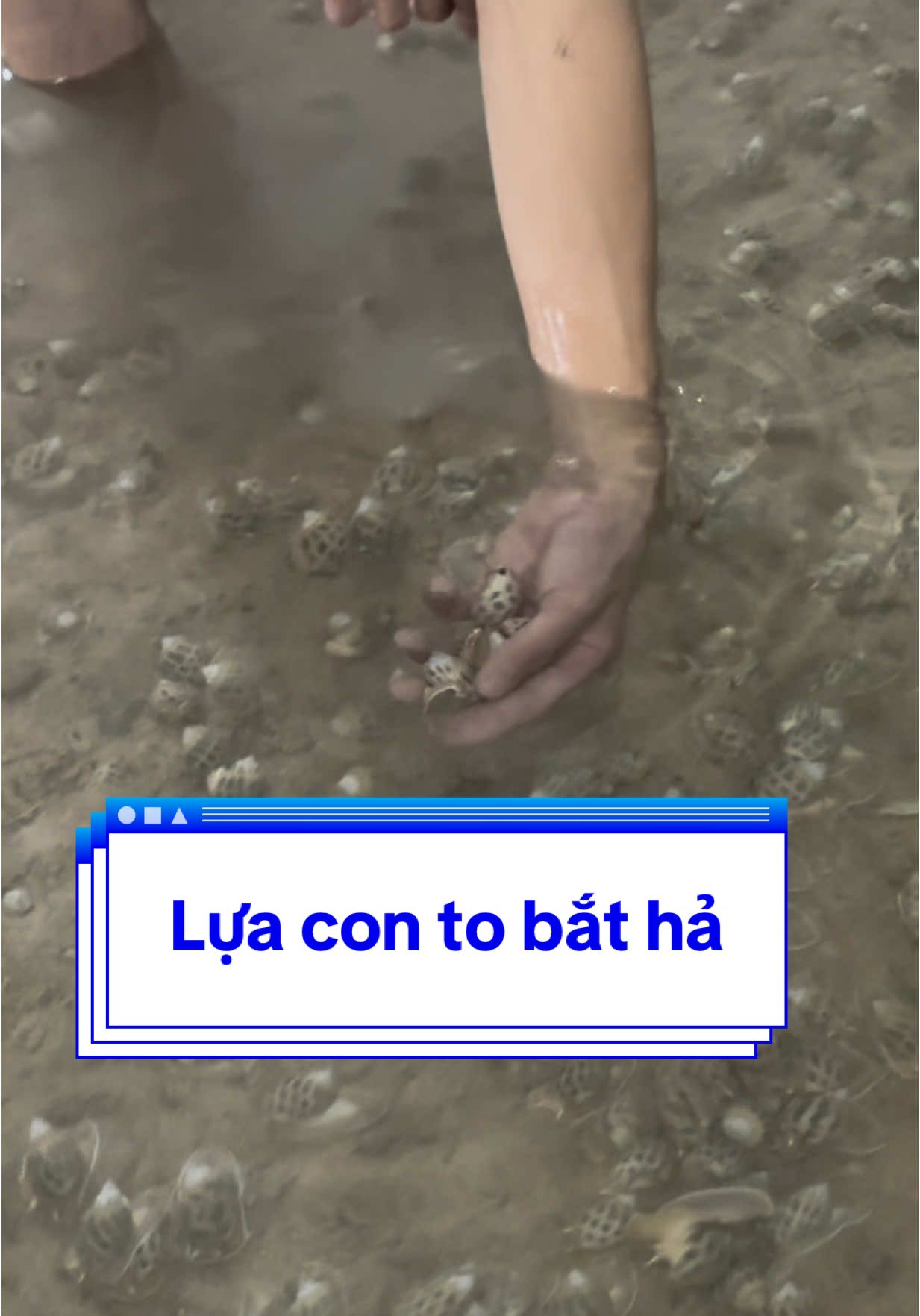 @Mr Qu&acirc;n