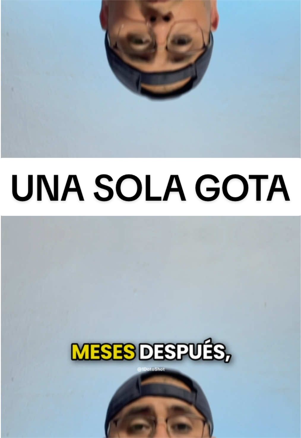 @1DatoShot