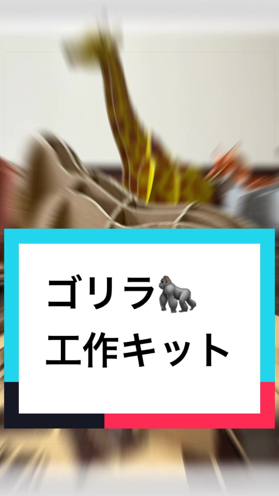 @ダンボール王子🌏♾️🐦&zwj;🔥