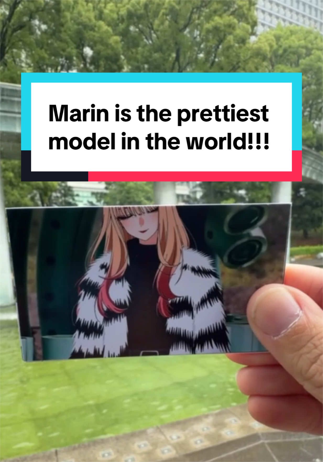 @My Anime Passport
