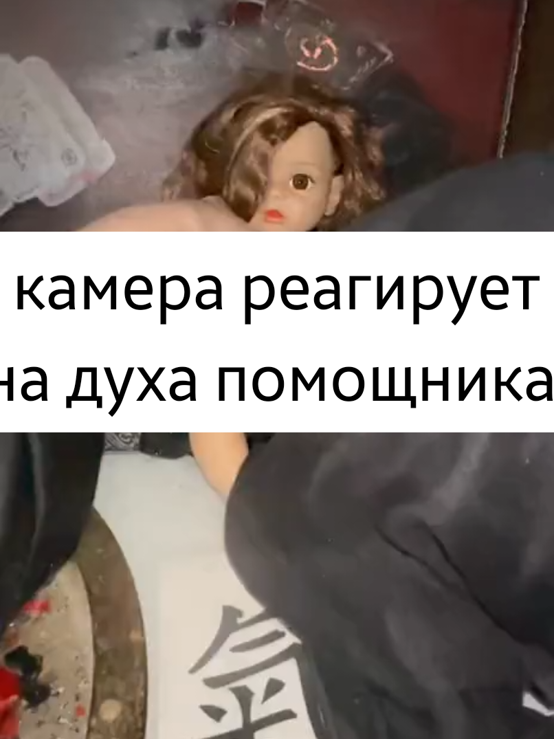 @все в ТГК: violetta_wax