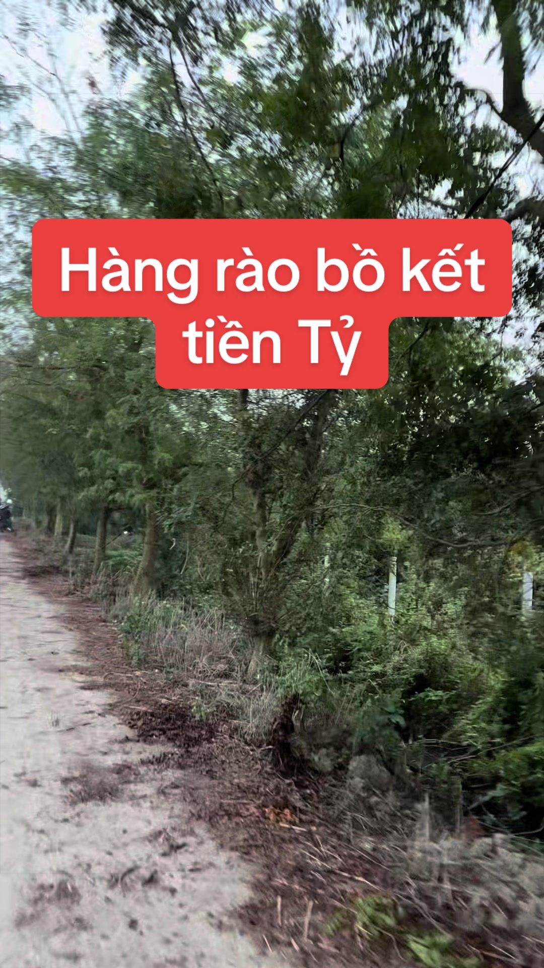 @Nh&agrave; Vườn Vũ Mai