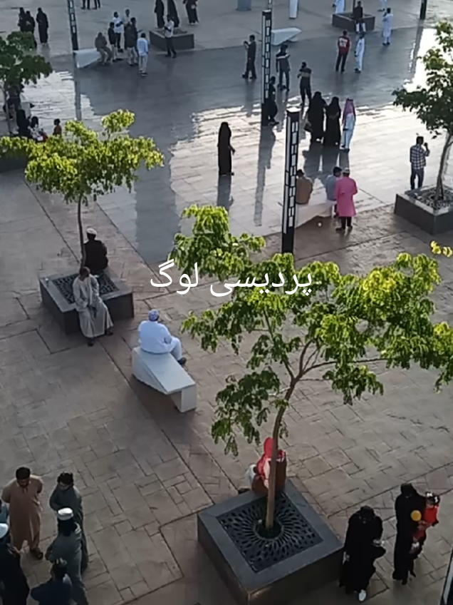 @Amir ali