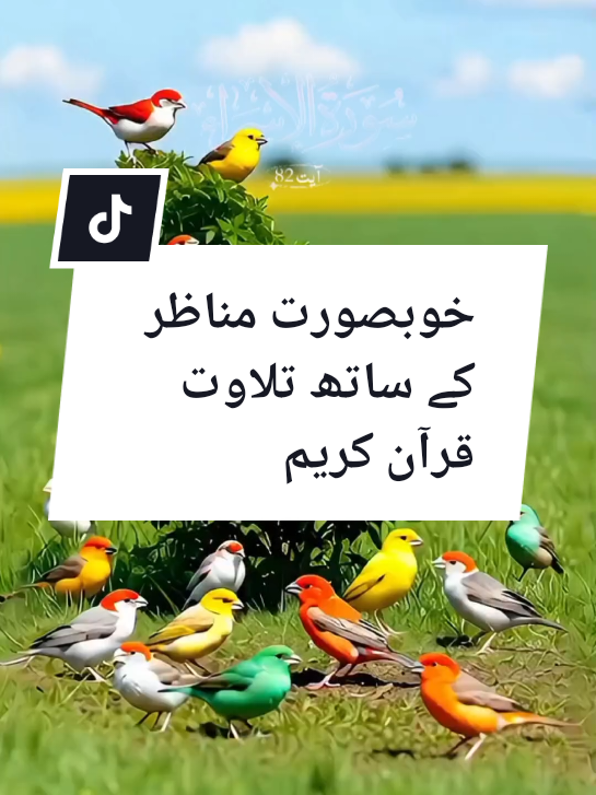 @➳ᴹᴿ✿࿐&Auml;ṛṡḧ&auml;ḋ 786**&bull;.&cedil;&hearts;&cedil;.&bull;*&acute;💖