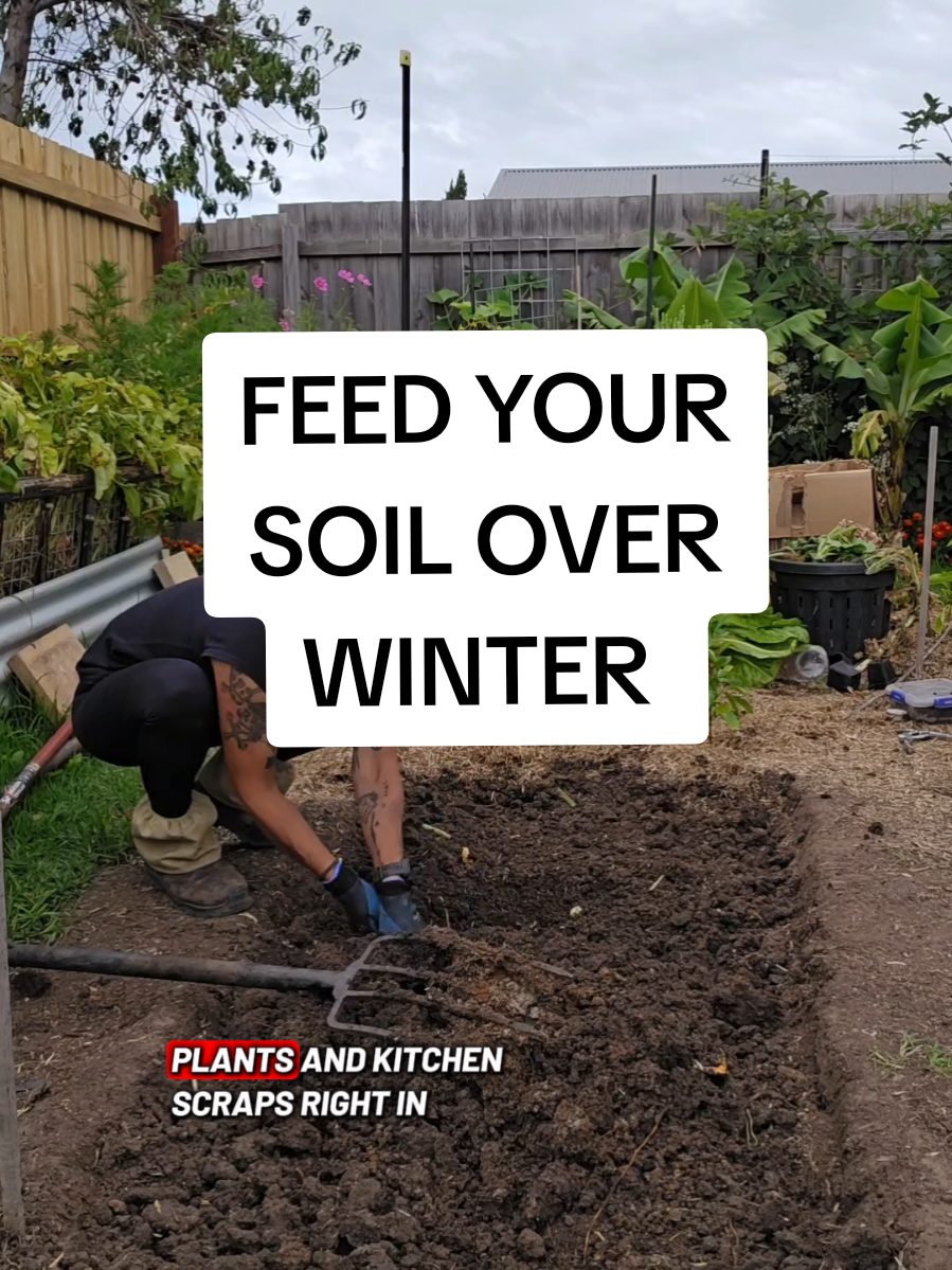 @busy chris gardening