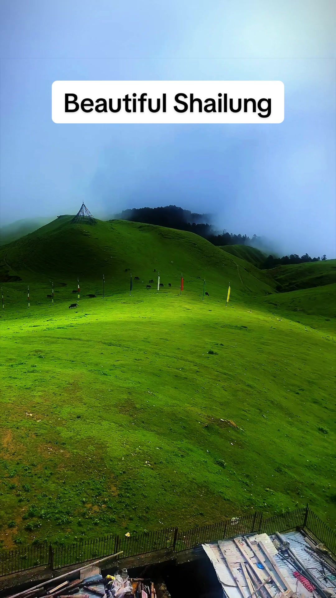 @Bishnu Gaire