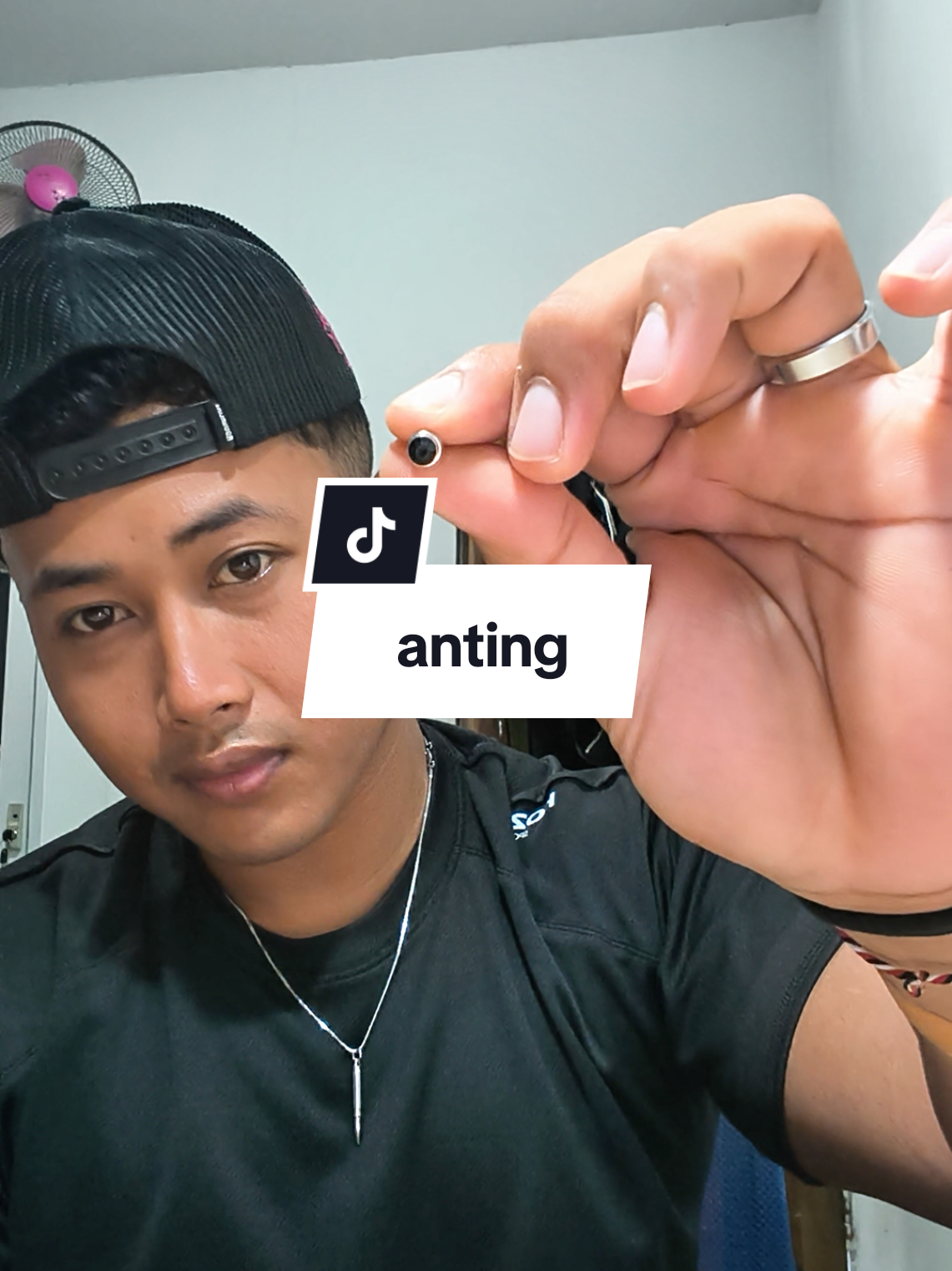 @firdardi.