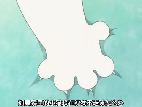 @閃亮哥燕曦之子