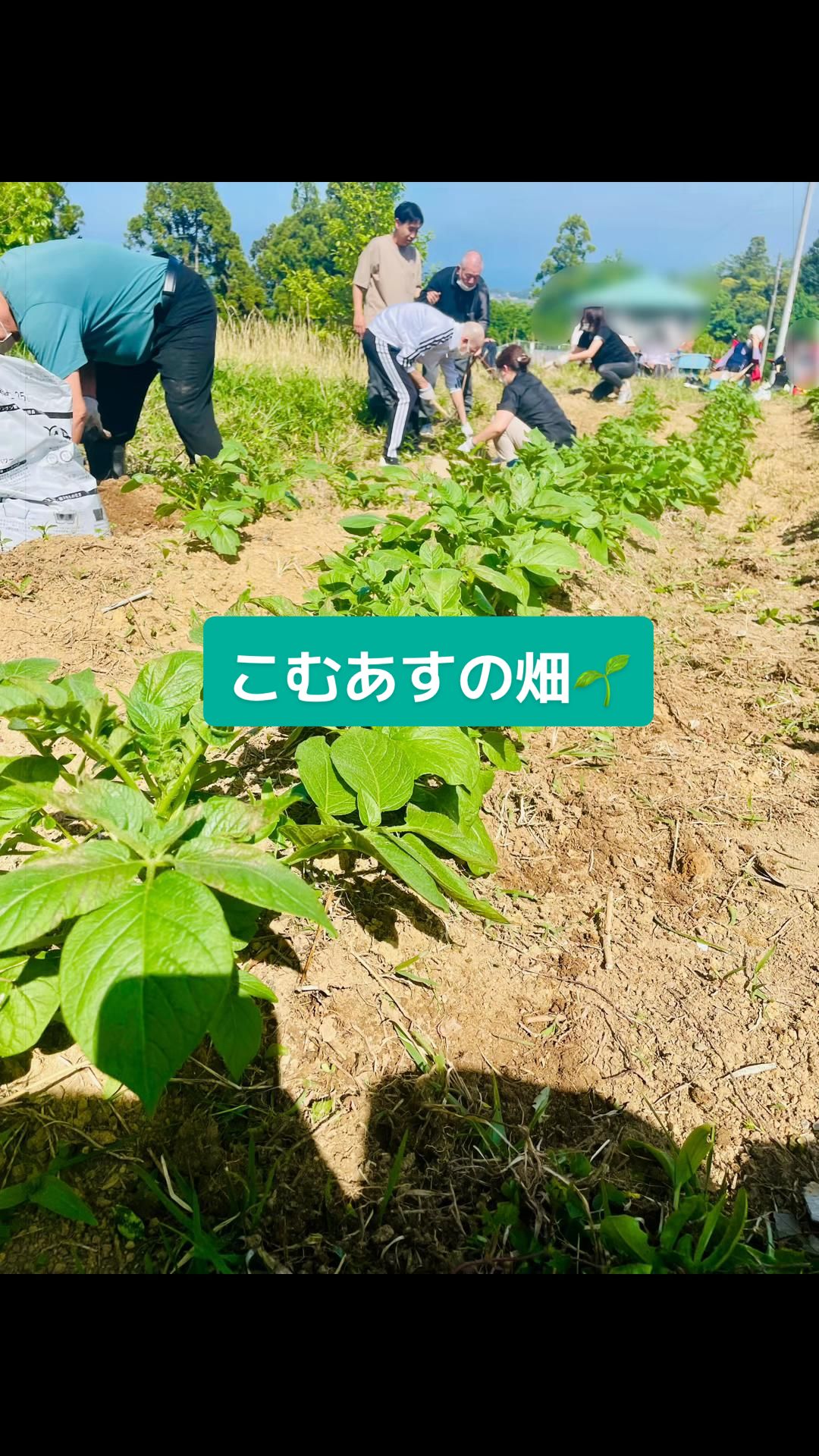 @株式会社コムアス