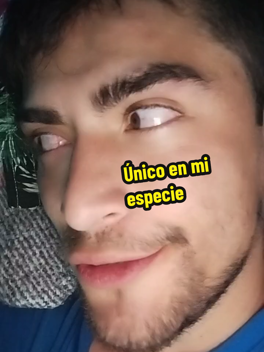 @BRAYAYIN