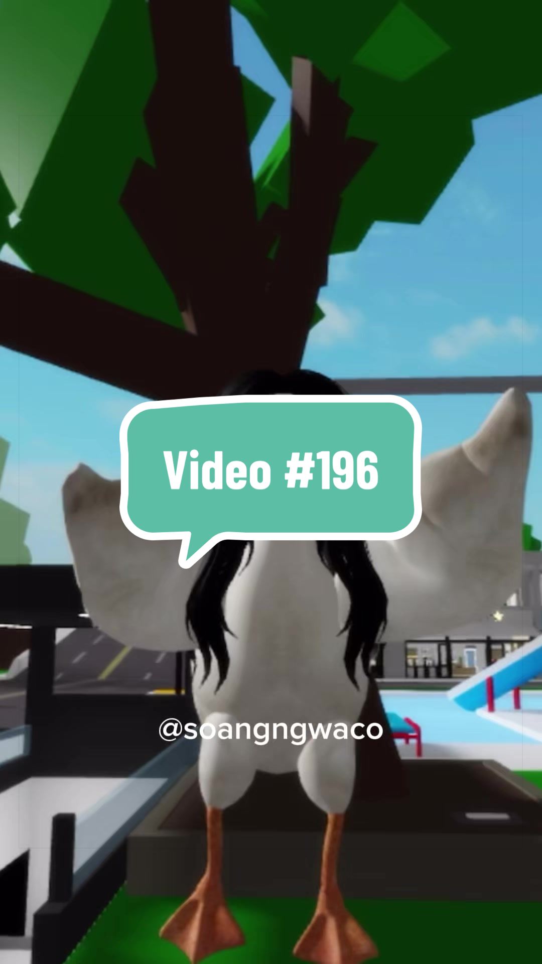 @SoangNgwaco