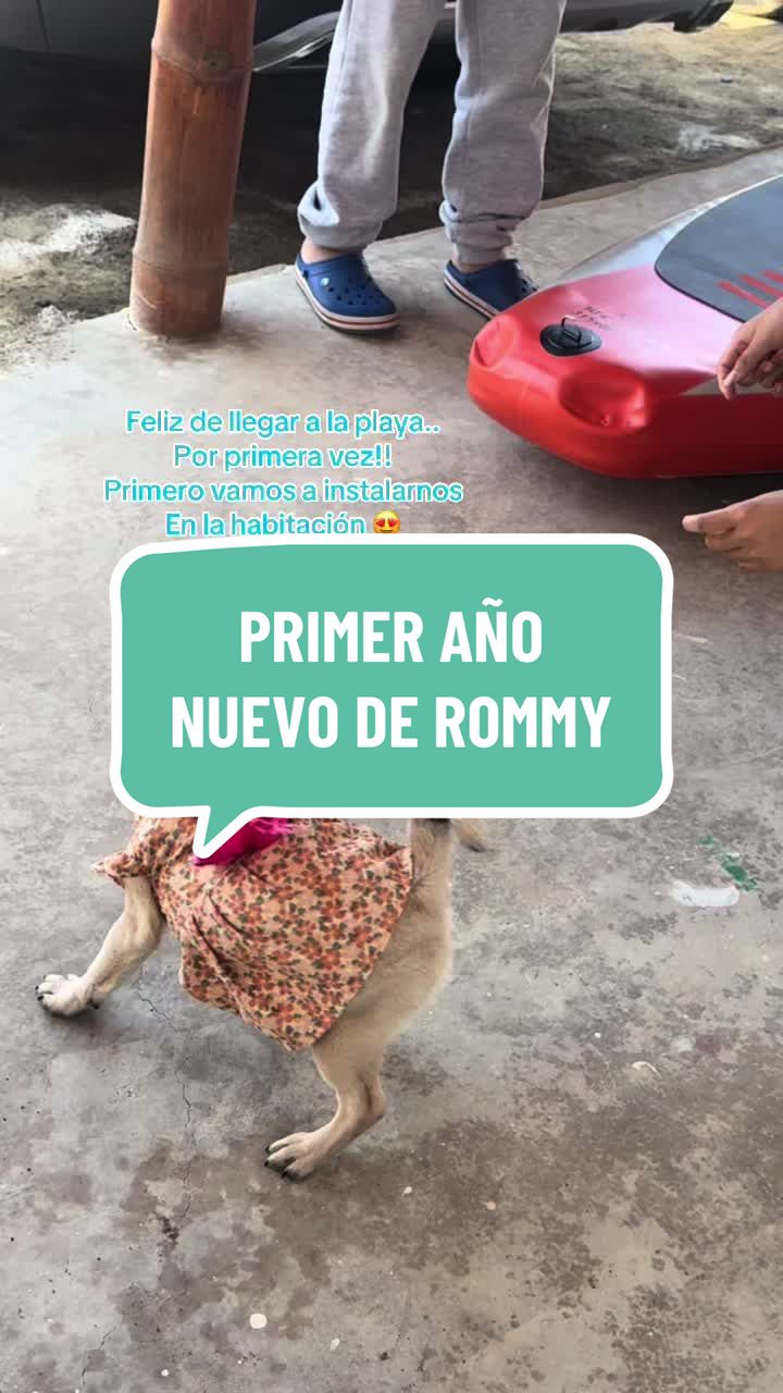 @Babypug