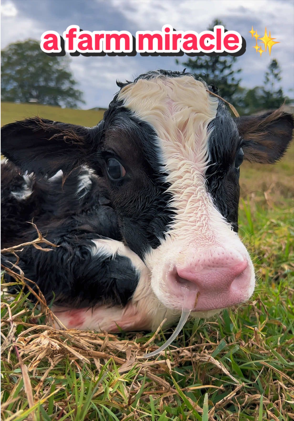 @Big Farmer Andy