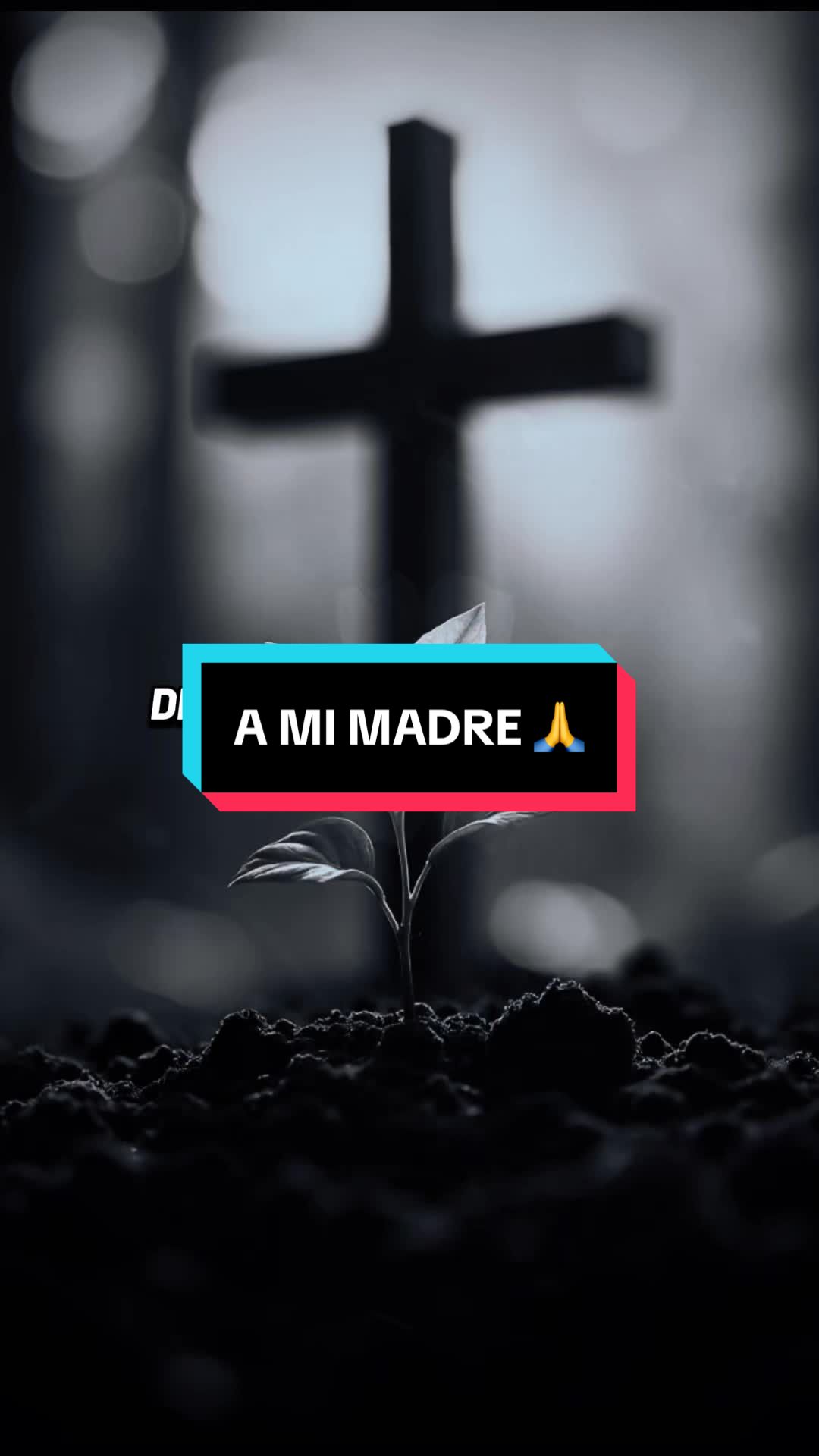 @MIGЦΣᄂ ΛПGΣᄂ