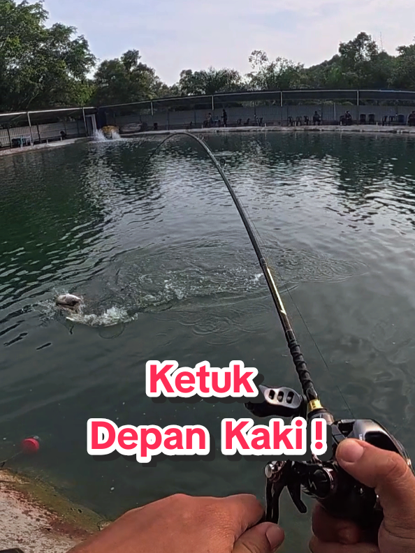 @Paan Pacak