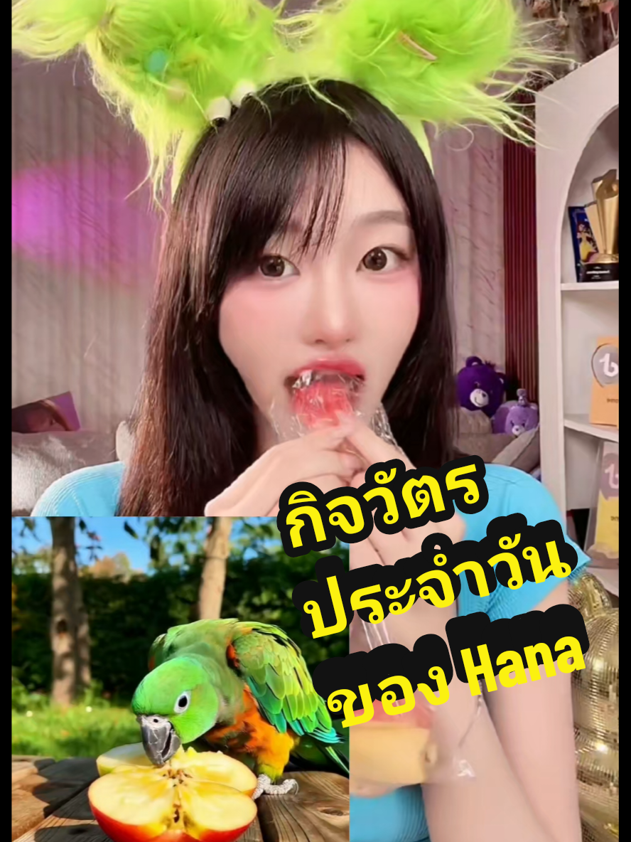 @🪻🪻salapao🪻🪻