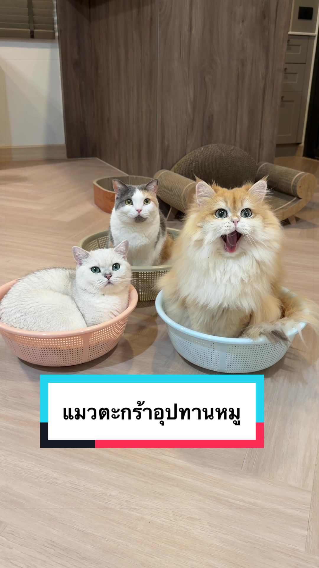 @คิมบับครับผม
