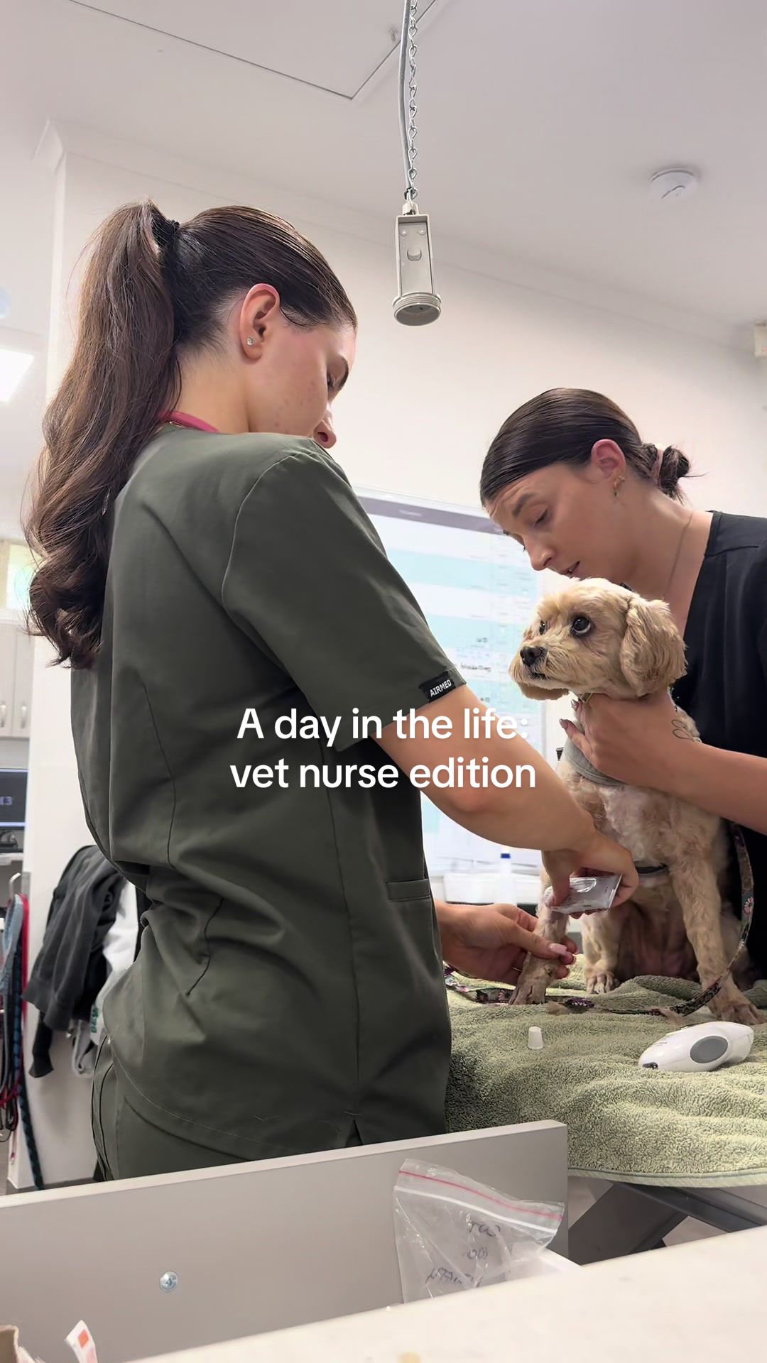 @Essendon Vet Clinic