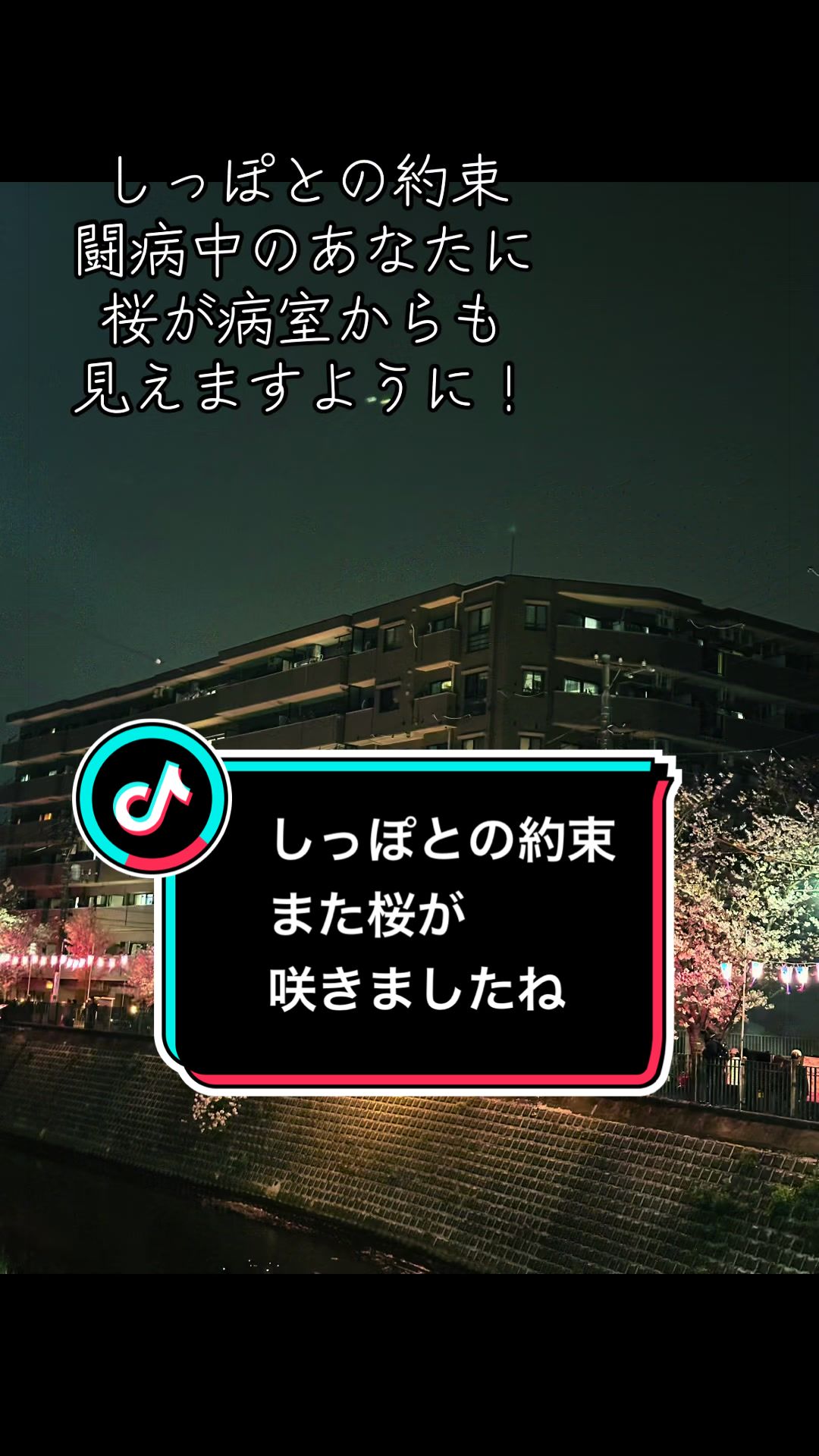 @Tの筋トレ日記😊🔱