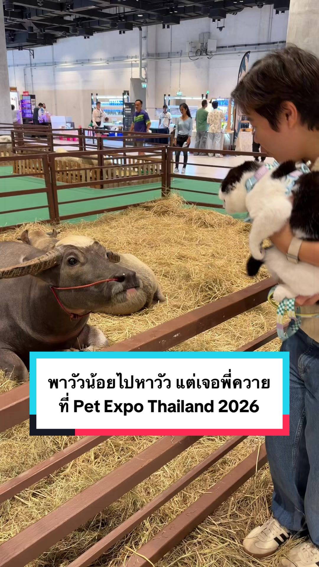 @คิมบับครับผม