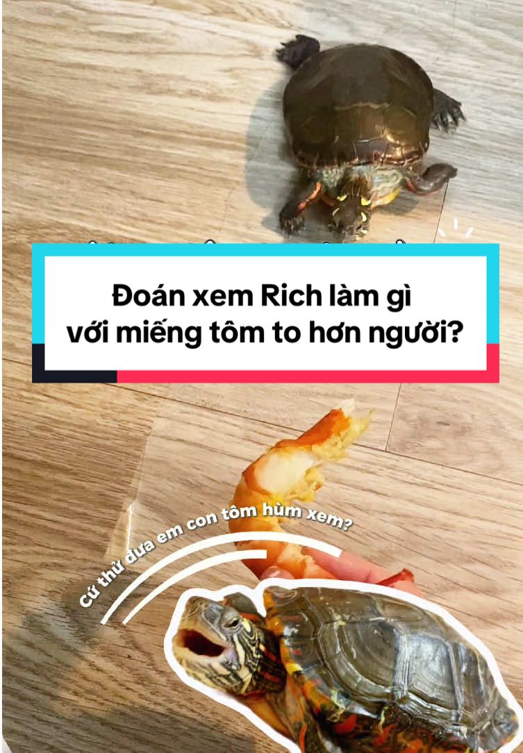 @Nh&agrave; c&oacute; r&ugrave;a v&agrave; ch&oacute;