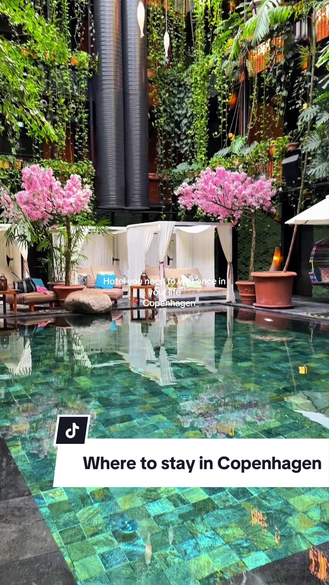 @C | Travel•Lifestyle