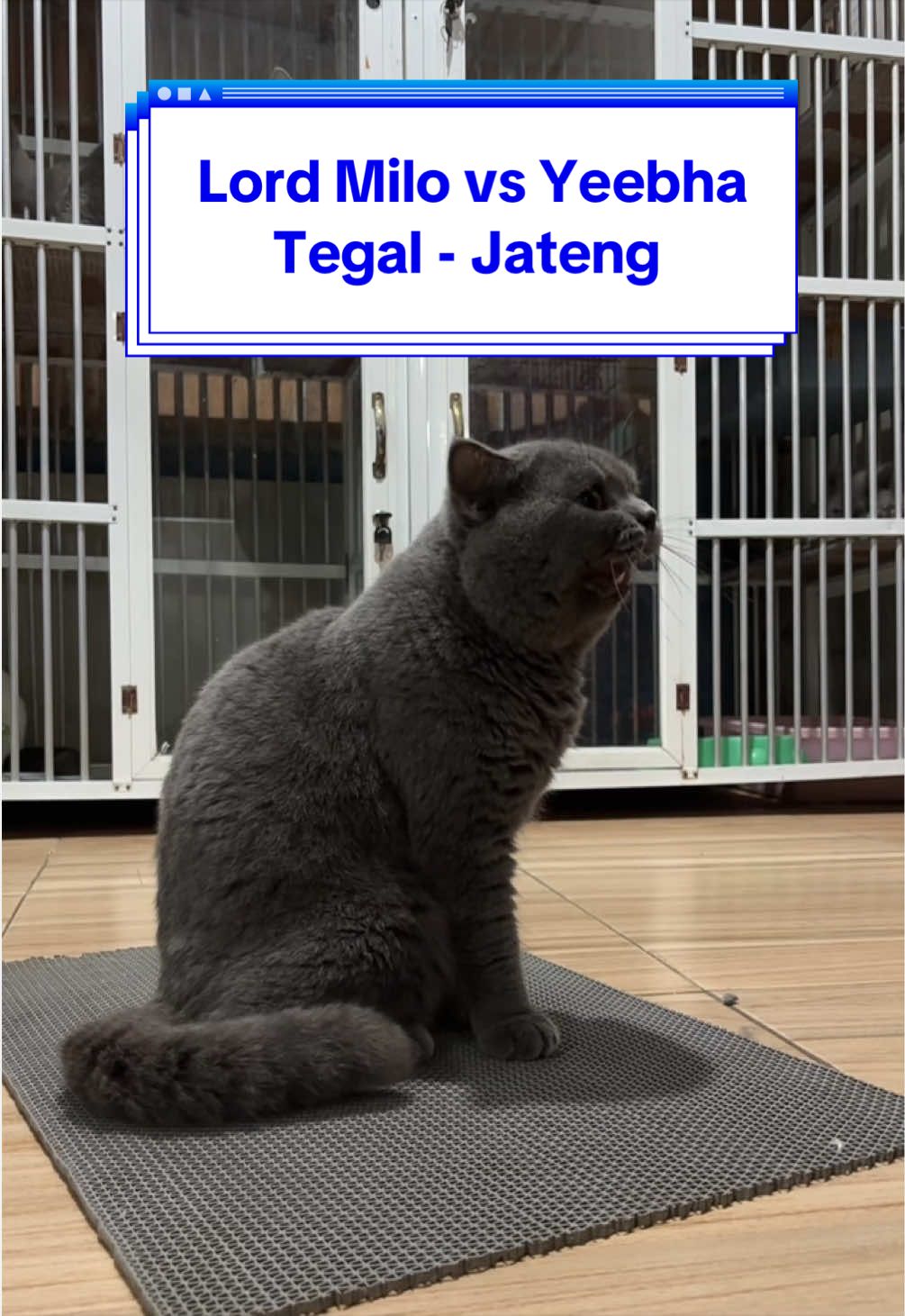 @Jasa Pacak BSH