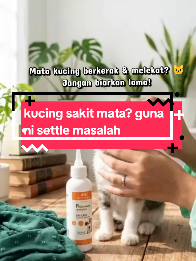 @Pecinta Kucing