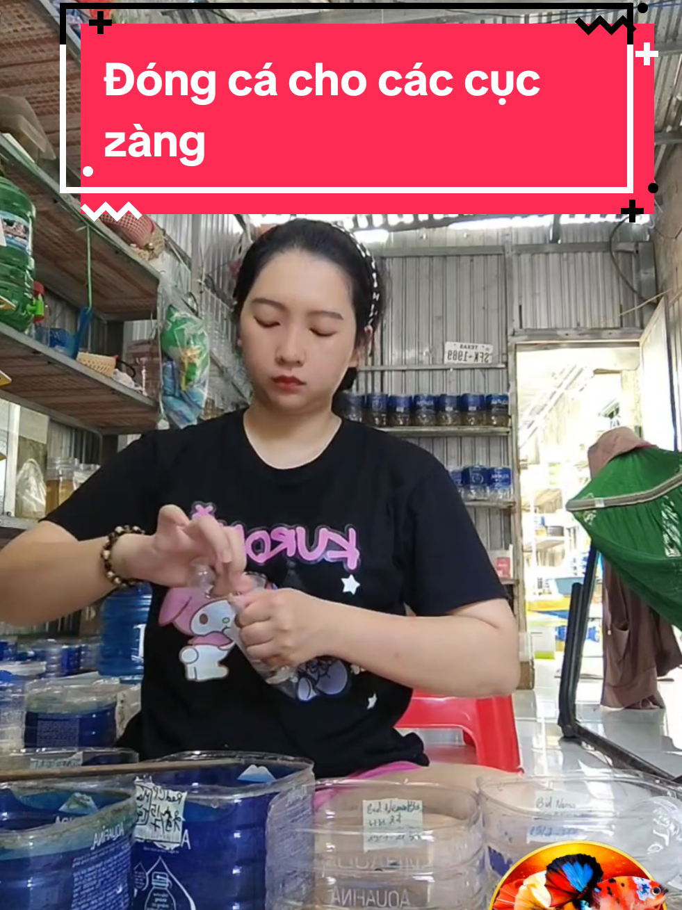 @Nhi Nguyễn Betta
