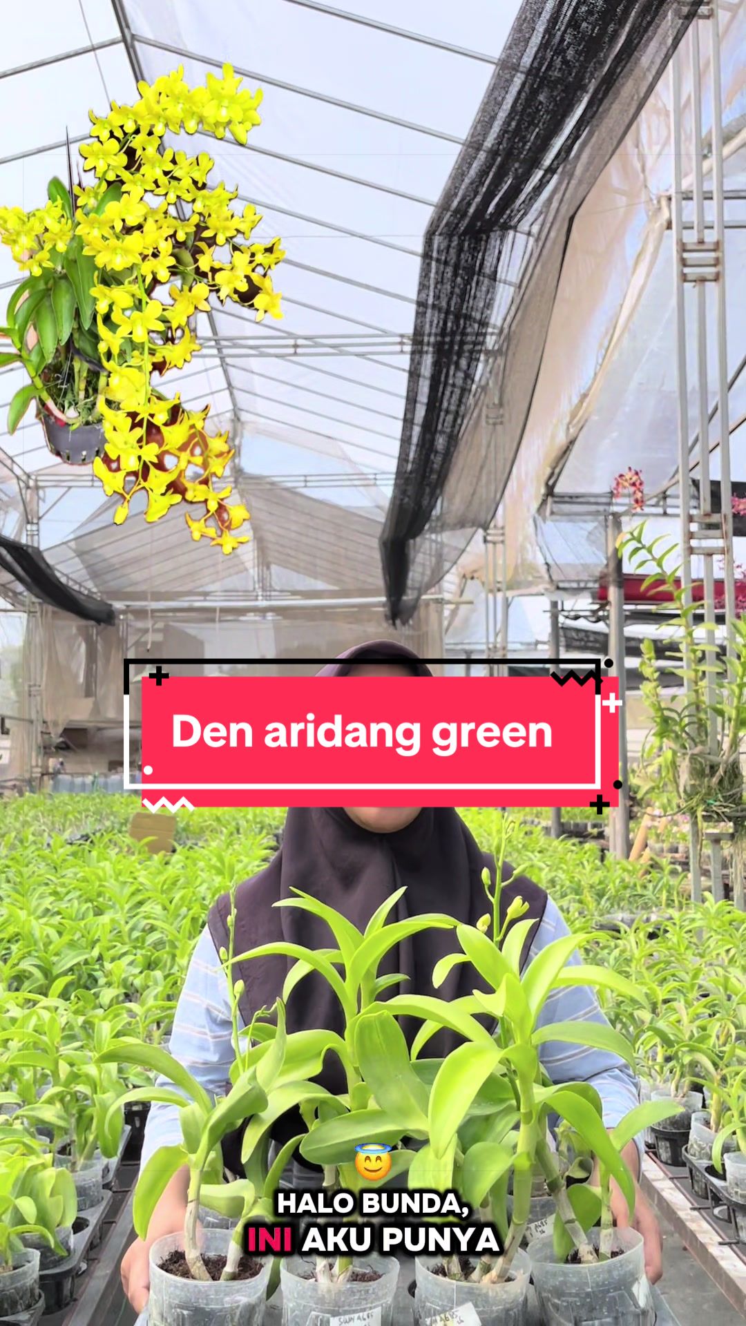 @Griya sekarindo utama