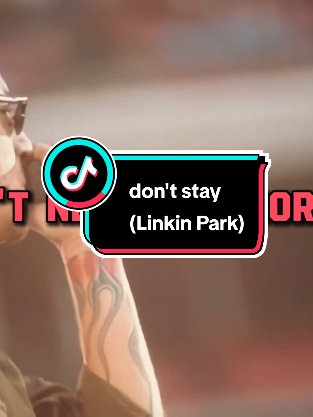 @𝑆𝑡𝑒𝑣𝑒𝑠𝑇ℎ𝑒3𝑟𝑑