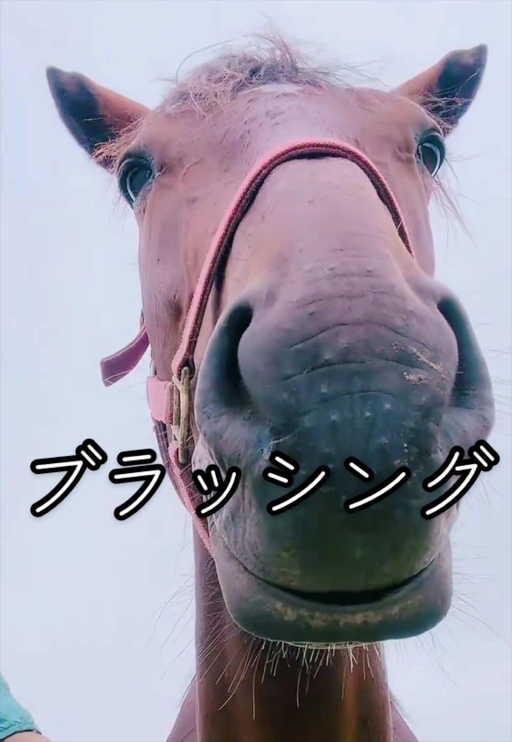 @ðŠPOPOïŸïœ¬ïŸðððð